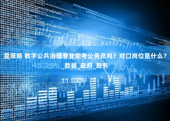 爱策略 数字公共治理专业能考公务员吗？对口岗位是什么？_数据_政府_政务