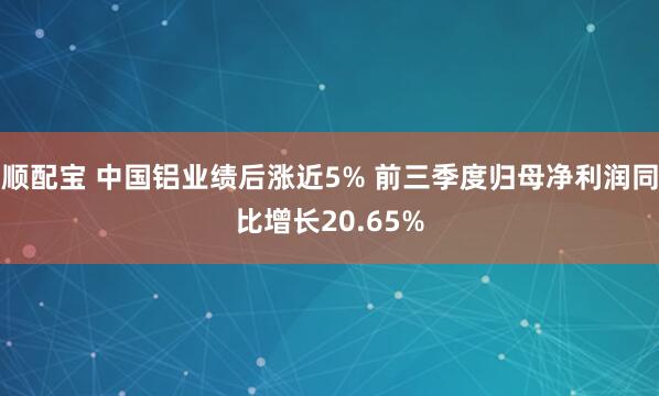 顺配宝 中国铝业绩后涨近5% 前三季度归母净利润同比增长20.65%