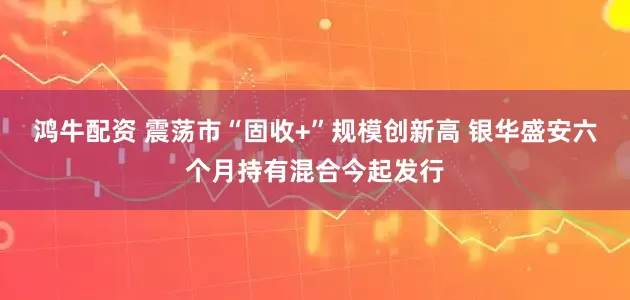 鸿牛配资 震荡市“固收+”规模创新高 银华盛安六个月持有混合今起发行