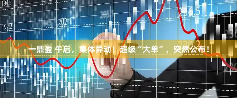 一鼎盈 午后，集体异动！超级“大单”，突然公布！