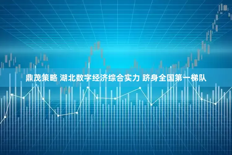 鼎茂策略 湖北数字经济综合实力 跻身全国第一梯队